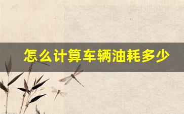 怎么计算车辆油耗多少钱一公里,8.6个油耗是多少钱一公里