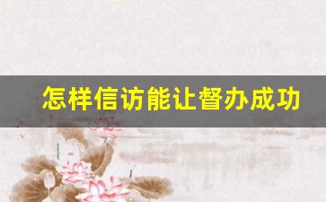 怎样信访能让督办成功,怎么知道自己信访受理了