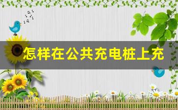 怎样在公共充电桩上充电