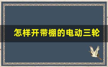 怎样开带棚的电动三轮开