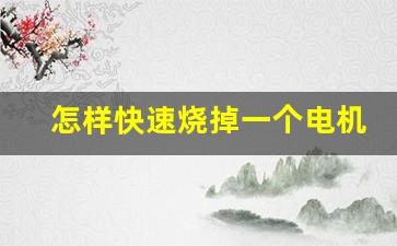 怎样快速烧掉一个电机,电机烧了修一下多少钱一个