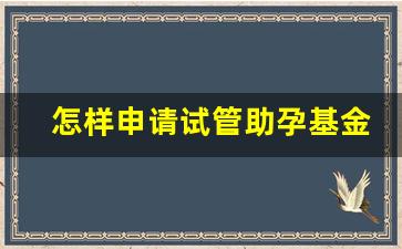 怎样申请试管助孕基金,一代试管生男孩的经验