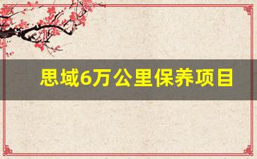 思域6万公里保养项目,十代思域保养提示A和B