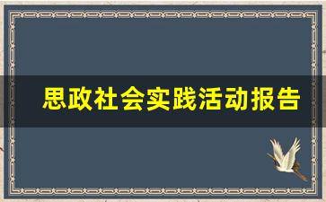 思政社会实践活动报告,思政社会实践报告3000