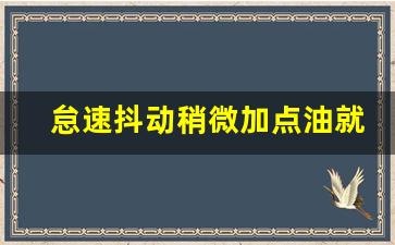 怠速抖动稍微加点油就不抖