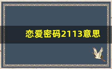 恋爱密码2113意思,2113爱情寓意