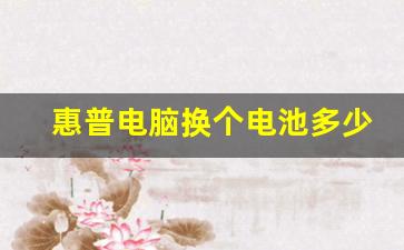 惠普电脑换个电池多少钱,惠普电脑换电池有必要吗