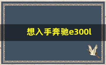 想入手奔驰e300l费用是多少