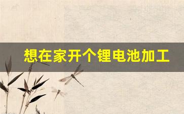 想在家开个锂电池加工厂,废旧锂电池拆解回收工艺