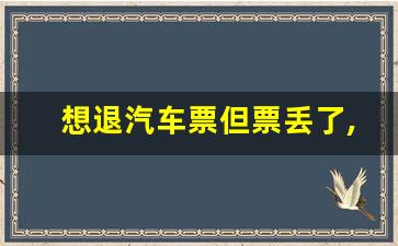 想退汽车票但票丢了,汽车票买错了怎么退