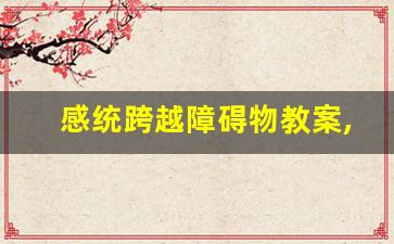 感统跨越障碍物教案,大班跨越取物游戏目标及反思