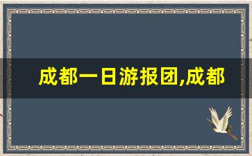 成都一日游报团,成都一日游最佳方案表