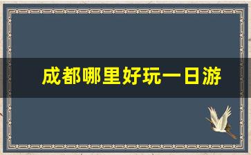 成都哪里好玩一日游