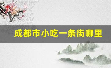 成都市小吃一条街哪里正宗便宜,成都自由行攻略最详细