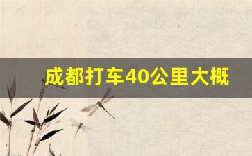 成都打车40公里大概多少钱,滴滴打车4.4公里多少钱