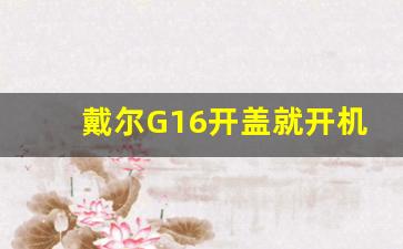 戴尔G16开盖就开机