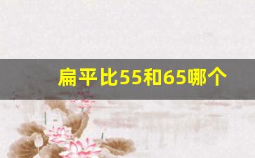 扁平比55和65哪个好,家用桥车胎的扁平比是多少好