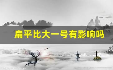 扁平比大一号有影响吗,40扁平比容易鼓包吗