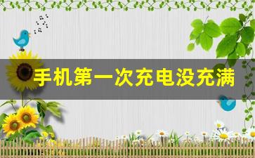 手机第一次充电没充满会怎样