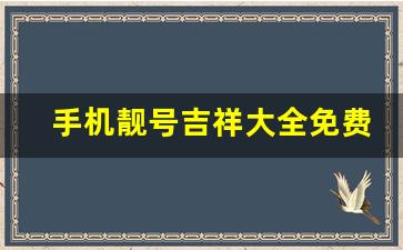 手机靓号吉祥大全免费查询,女人不能用的号码尾数