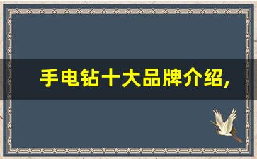 手电钻十大品牌介绍,家用手电钻什么牌子的质量好