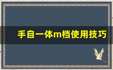 手自一体m档使用技巧,自动挡m档怎么使用