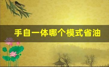 手自一体哪个模式省油,手动挡档位越高越省油吗