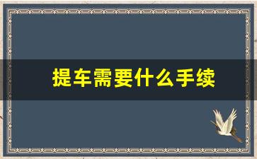 提车需要什么手续