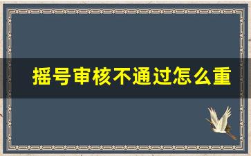 摇号审核不通过怎么重新申请,摇号怎么注销重新注册