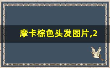 摩卡棕色头发图片,2023年最火的染发颜色