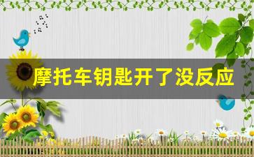 摩托车钥匙开了没反应怎么回事,摩托万能钥匙10元一把