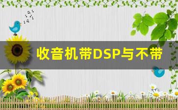 收音机带DSP与不带DSP的区别,二次变频收音机有什么优点