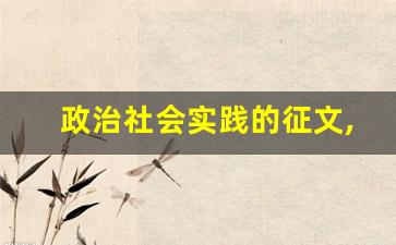 政治社会实践的征文,思想政治实践报告1500字