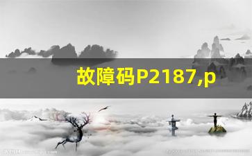 故障码P2187,p0341故障码怎么解决