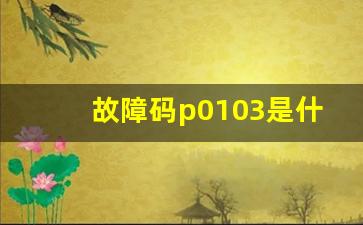 故障码p0103是什么意思,p0103故障码的详细介绍