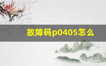 故障码p0405怎么修理,故障码p0420清除后又亮了