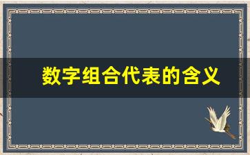 数字组合代表的含义