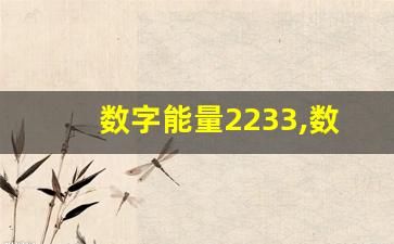 数字能量2233,数字能量对照表