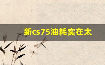 新cs75油耗实在太高了,长安cs75买三代还是二代