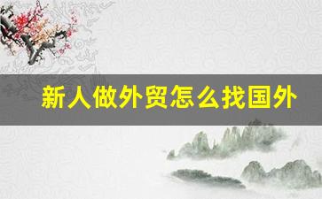 新人做外贸怎么找国外客户,报关公司