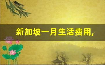 新加坡一月生活费用,新加坡移民几种方式