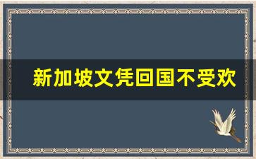 新加坡文凭回国不受欢迎,新加坡一年制硕士