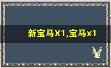 新宝马X1,宝马x1一般人养得起吗