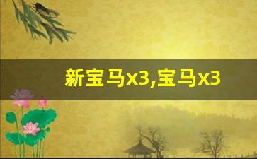 新宝马x3,宝马x3三十万能落地吗