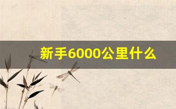 新手6000公里什么水平