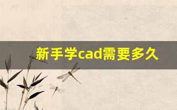 新手学cad需要多久