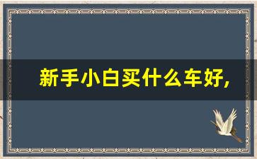 新手小白买什么车好,十万以内适合女生开的自动挡车