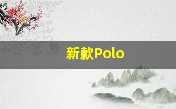 新款Polo