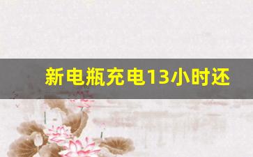 新电瓶充电13小时还不满