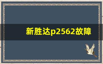 新胜达p2562故障码解决方法,全新胜达故障码P2562